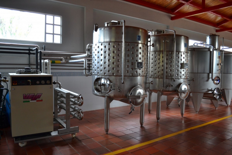 cave-LA GAUDE-min_wine_production_cantine_winery_drink_alcohol_vine_beverage-902036